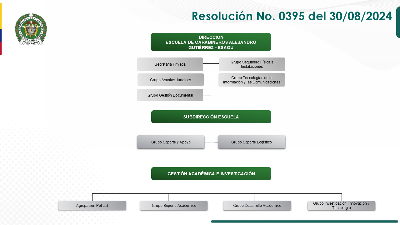 Estructura Orgánica - ESAGU