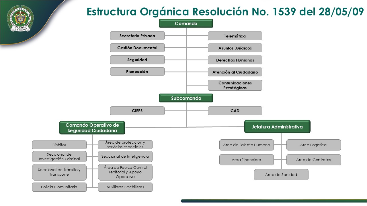 Organigrama DEPUY