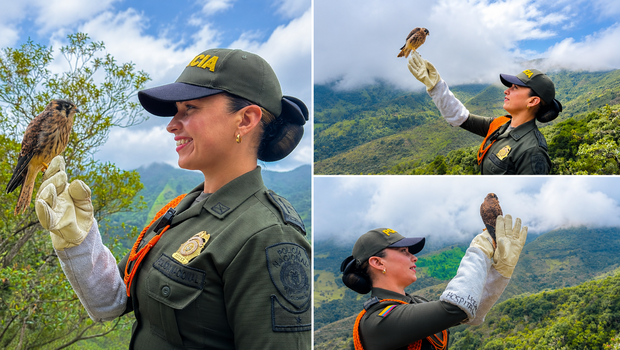 Los Policías de Nariño protegen la biodiversidad
