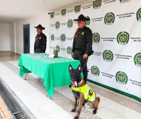 Línea 167 antidrogas