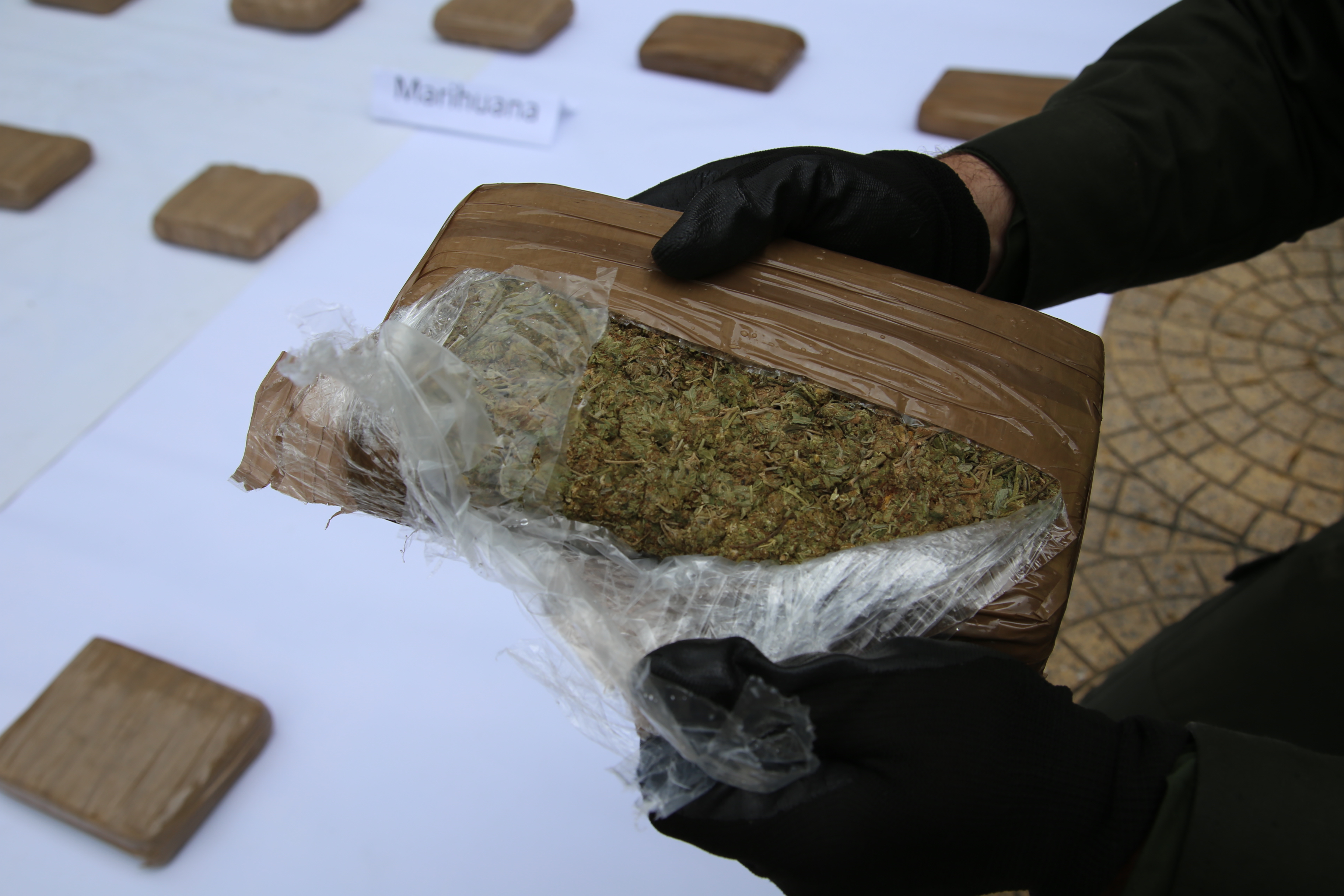 incautacion_doce_kilos_marihuana