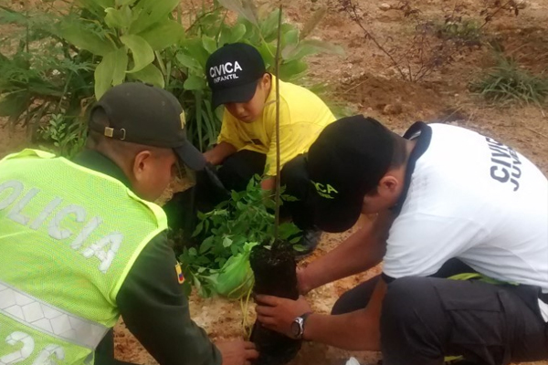 Siembra de 600 árboles eco parque cerro de las banderas