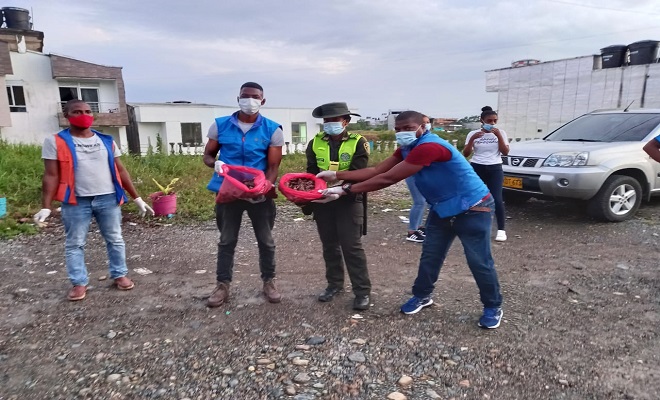 32 kilos de caracol gigante fueron hallados en barrio los castillos de Quibdó