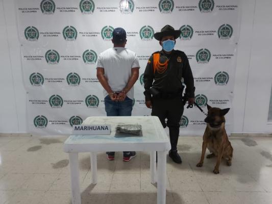 Pasajero la escondía en su maleta de viaje.