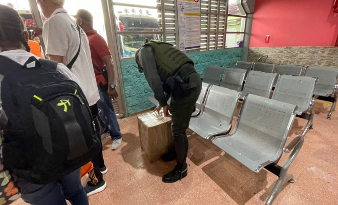 Planes preventivos en la Terminal de Transportes buscan frenar el tráfico ilegal de flora y fauna