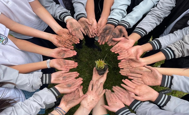 manos de niños tras la siembra de arboles en Pasto