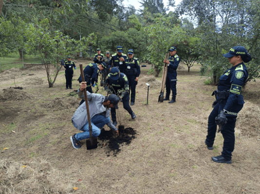 personal de la policía nacional y la comunidad realizando siembra de arboles
