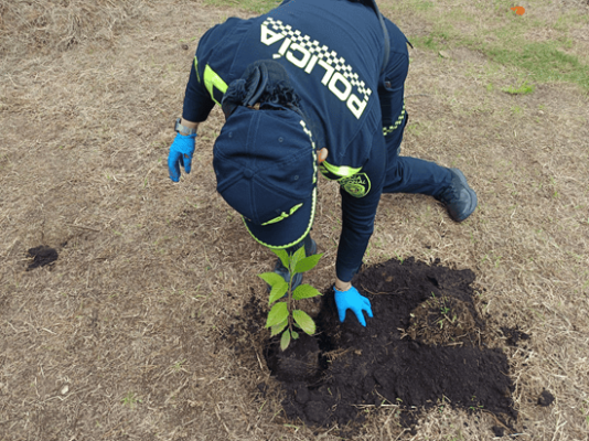 funcionaria de polic&iacute;a realizando la siembra de un &aacute;rbol