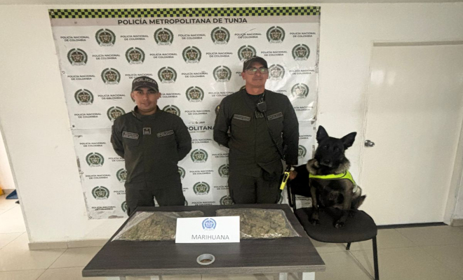 Incautados m&aacute;s de 1.000 gramos de marihuana en encomienda en C&oacute;mbita