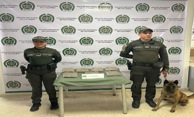 La Policía Nacional incauta 6,5 kilogramos de marihuana bajo la modalidad de encomiendas