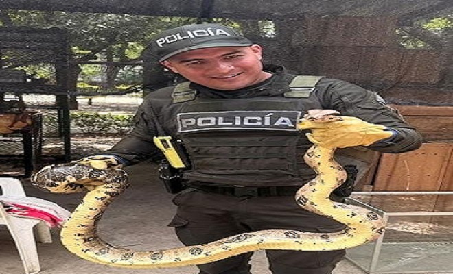Policia Metropolitana de Neiva de la mano con la fauna 
