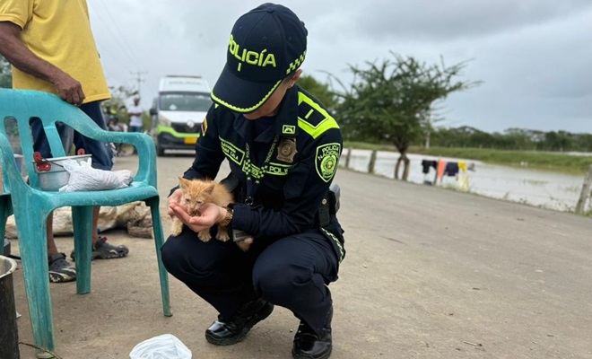 Polic&iacute;a cargando a un animal dom&eacute;stico