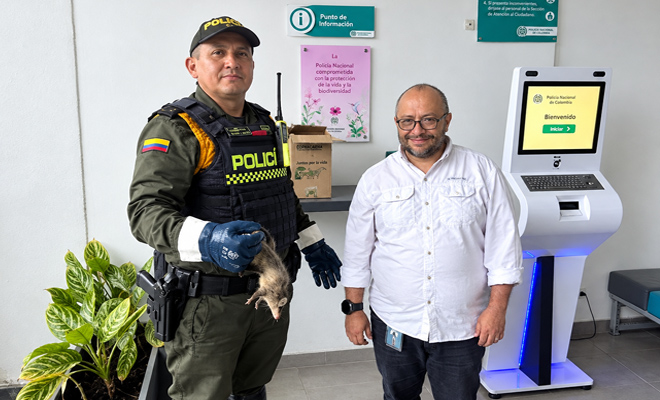 Se observa un Polic&iacute;a de Carabineros entregando una zarig&uuml;eya a un funcionario de Cormacarena  quien se encargar&aacute; de la valoraci&oacute;n y protecci&oacute;n  del  animal