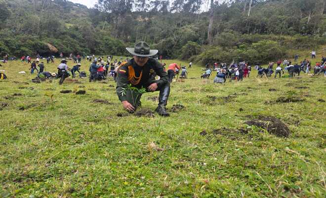 Jornada_de_sembratón