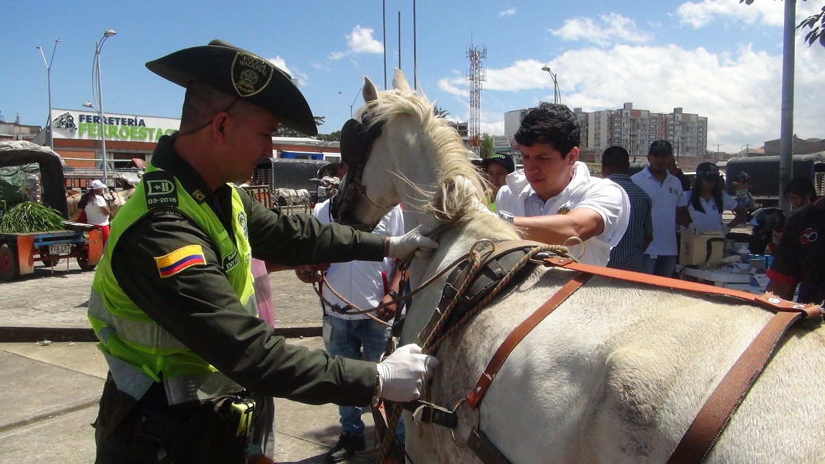 Actividad_con_el_gremio_de_carretilleros