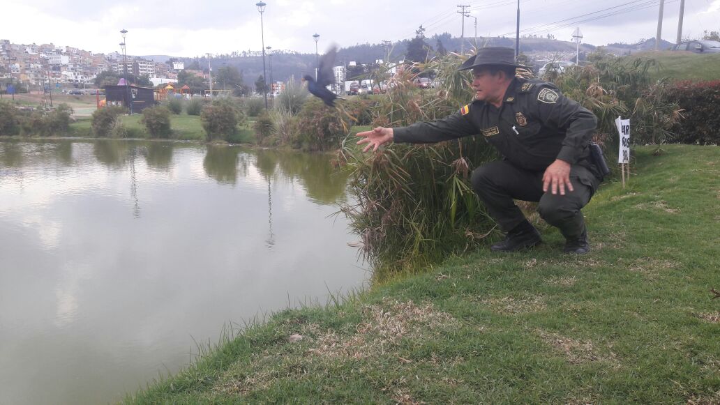  actividades-de-proteccion