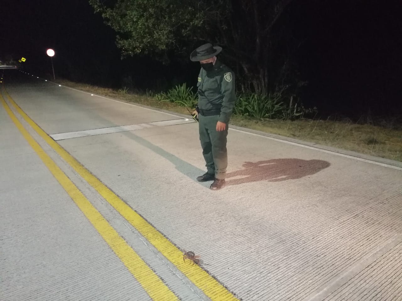 Adelantamos controles nocturnos a la veda de cangrejo negro en las Islas