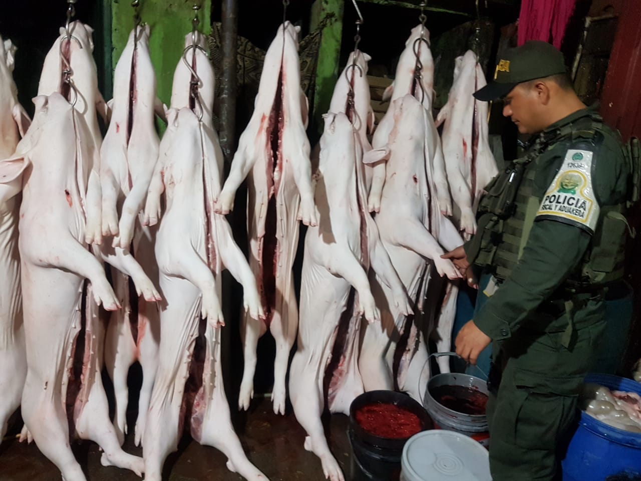 aprendidos-696-de-carne-cerdo