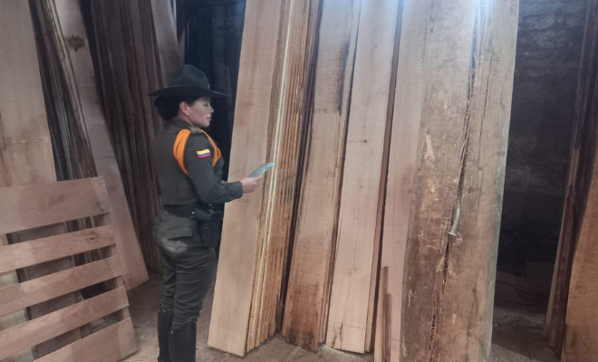 está comprometida en garantizar que todas las actividades  relacionadas con la madera 