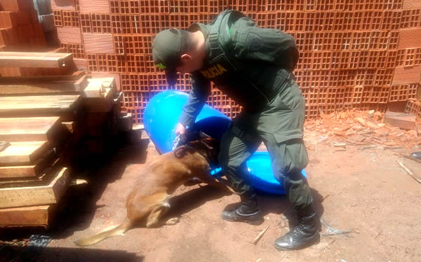 cae-red-transnacional-dedicada-al-trafico-de-cocaina