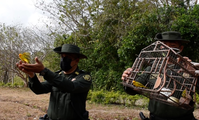 Liberación-de-42-especies-silvestres-en-refugio-ambiental