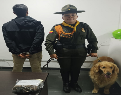 Canina “Sam” logró que la Policía capturara a un hombre estupefacientes 