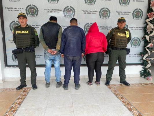 La Policía metropolitana aptura tres ciudadanos por el hurto de ganado