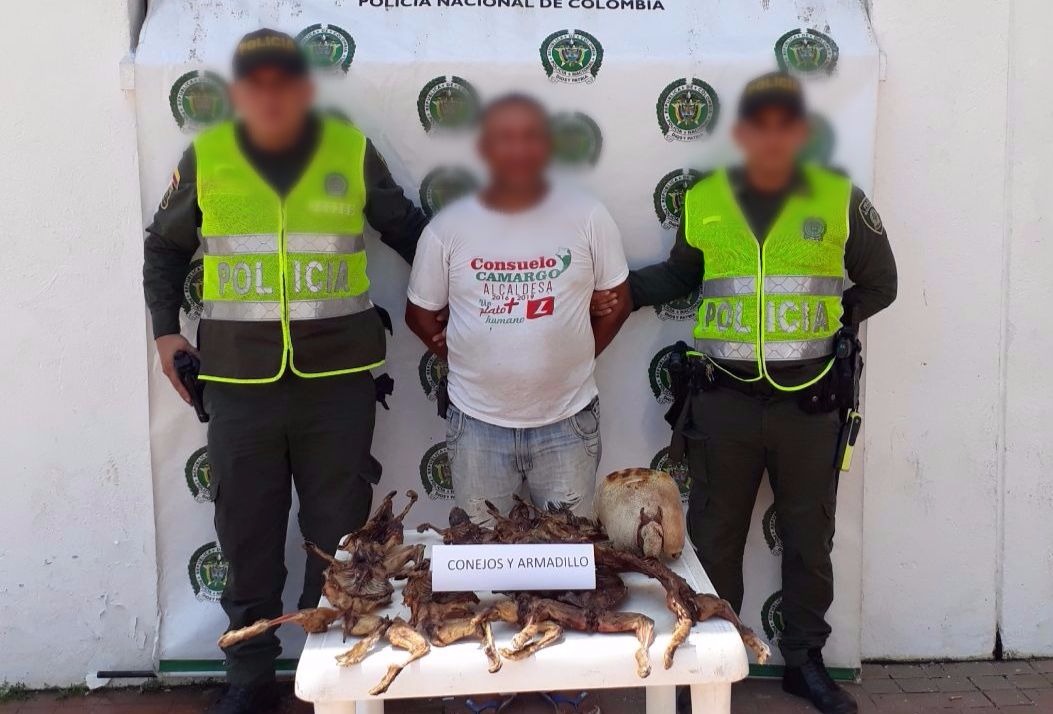 capturados-conejos-armadillo-recursos-naturales-renovables-animales-silvestres-plato-semana santa-magdalena-cuadrante