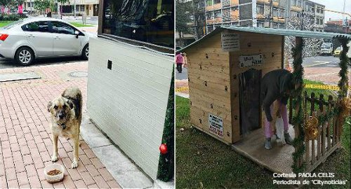 casa-bruno-amigos-policias-colombia