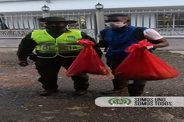 controlados-caracoles-africanos-quibdo