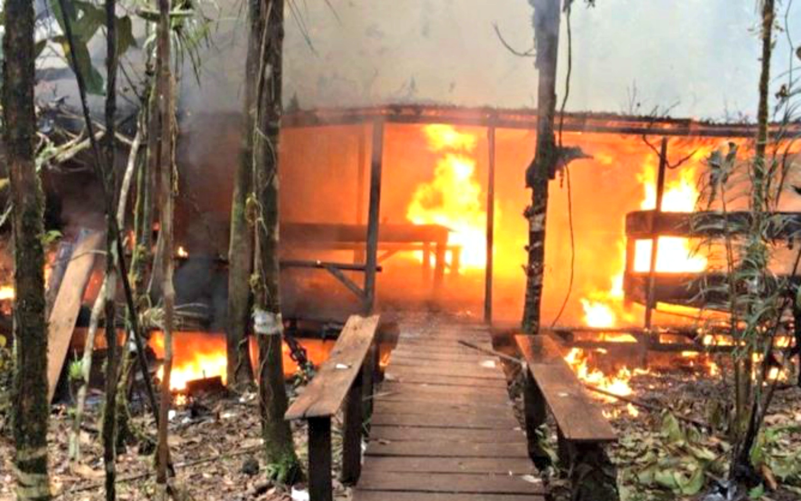 Desmantelados-laboratorios-para-procesar-clorhidrato-de-cocaína-y-base-de-coca-2