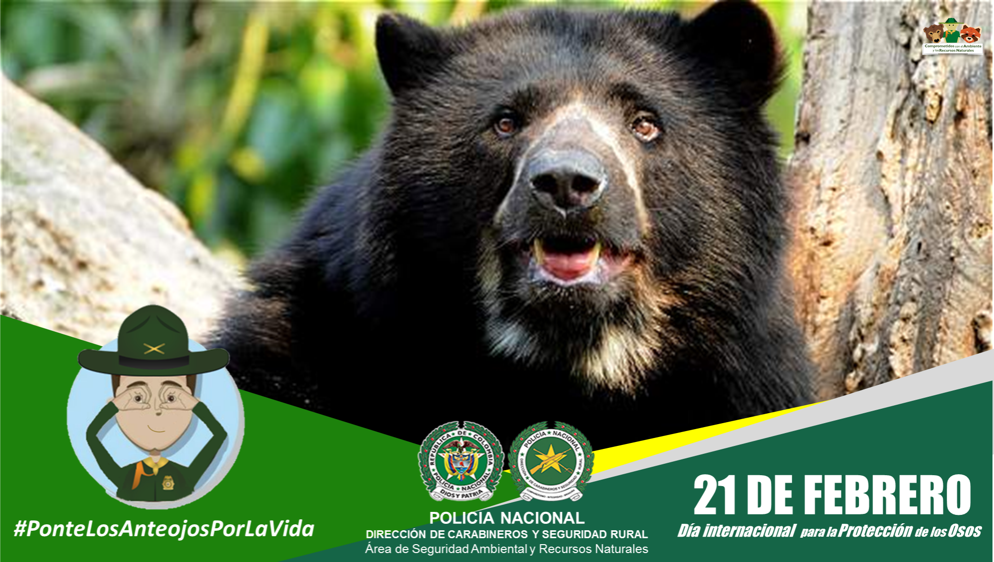 Día de los osos