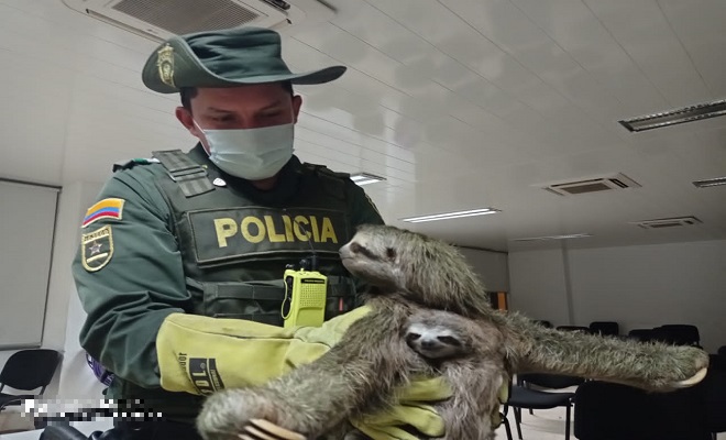 En el departamento del Chocó protegemos los animales