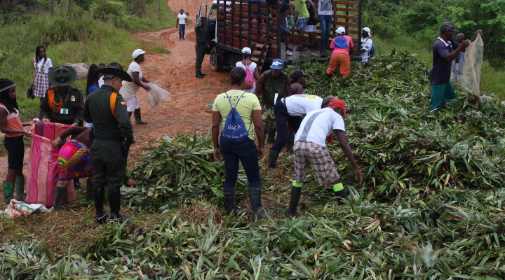 entrega-de-semilla-para-proyectos-productivos
