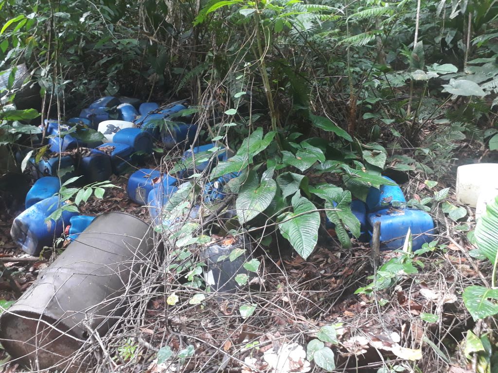 Descubrieron-al-paso-por-los-cultivos-ilícitos-una-caleta 