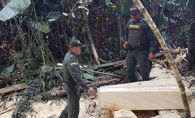 En-Guamal-con-mi-Policía-del-cuadrante-frustramos-un-arboricidio