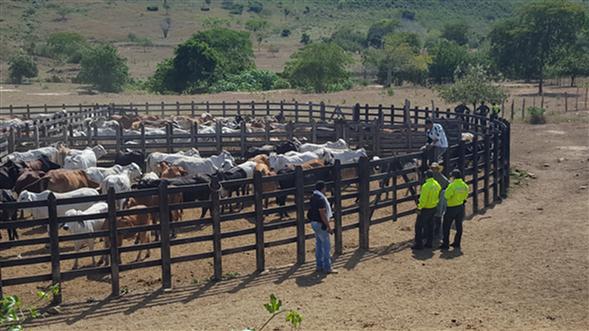 Continúan-las-investigaciones-en-el-caso-Odebrecht 