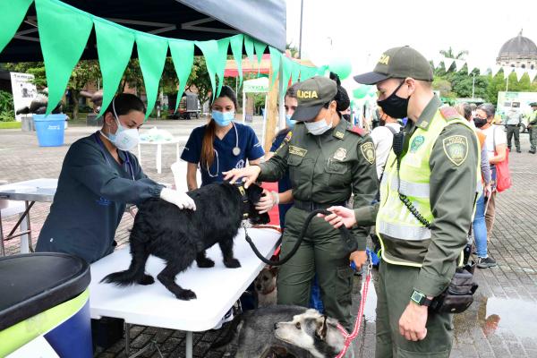 Policías en Medellín ayudan a caninos