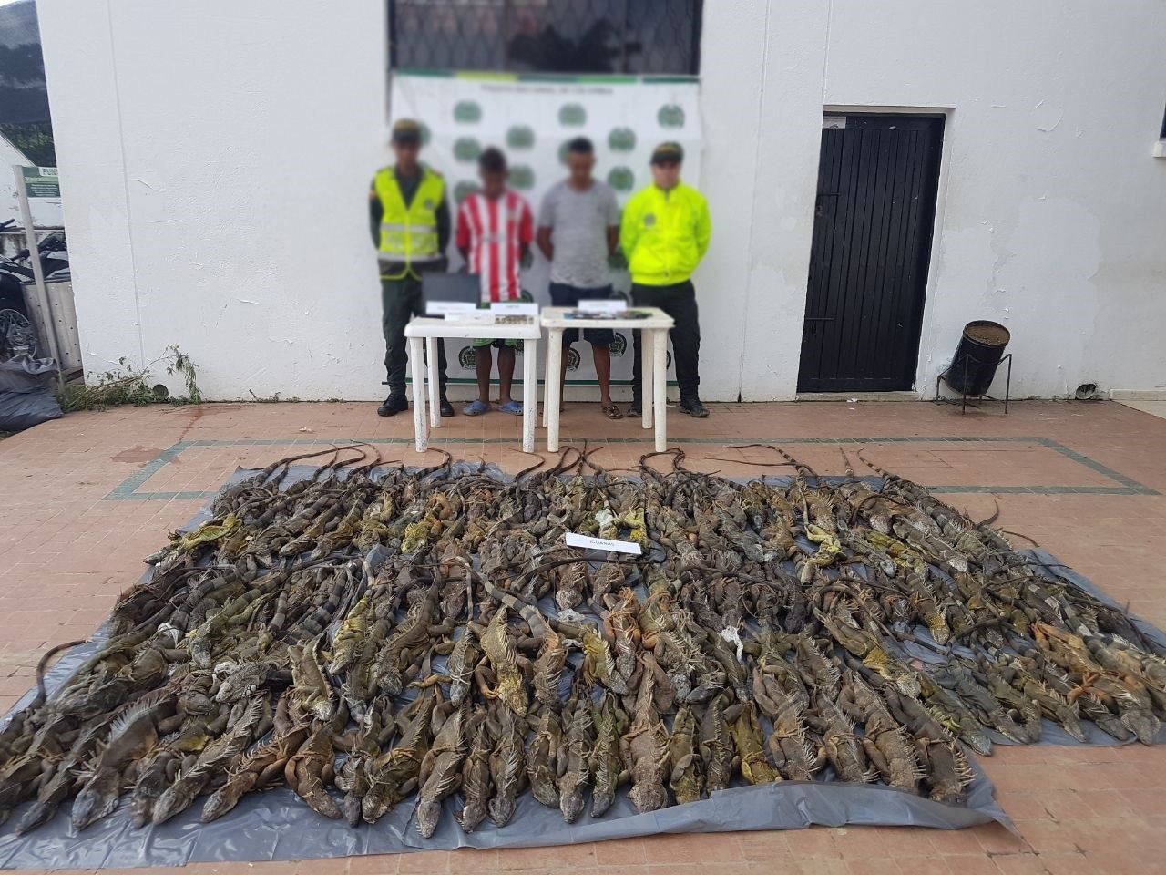 capturados-Ilícito aprovechamiento de los recursos naturales renovables-trafico de estupefacientes-plato-magdalena