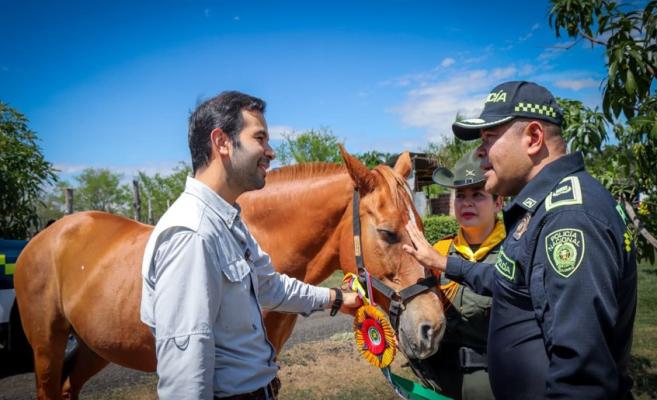 policía haciendo entrega de equino 