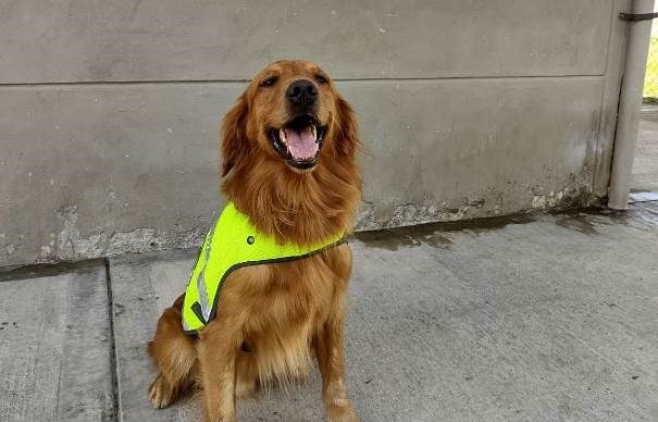 Fidelidad y Abnegación