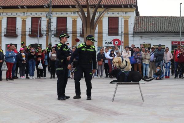 Los 'Perros voladores' de la Policía Nacional