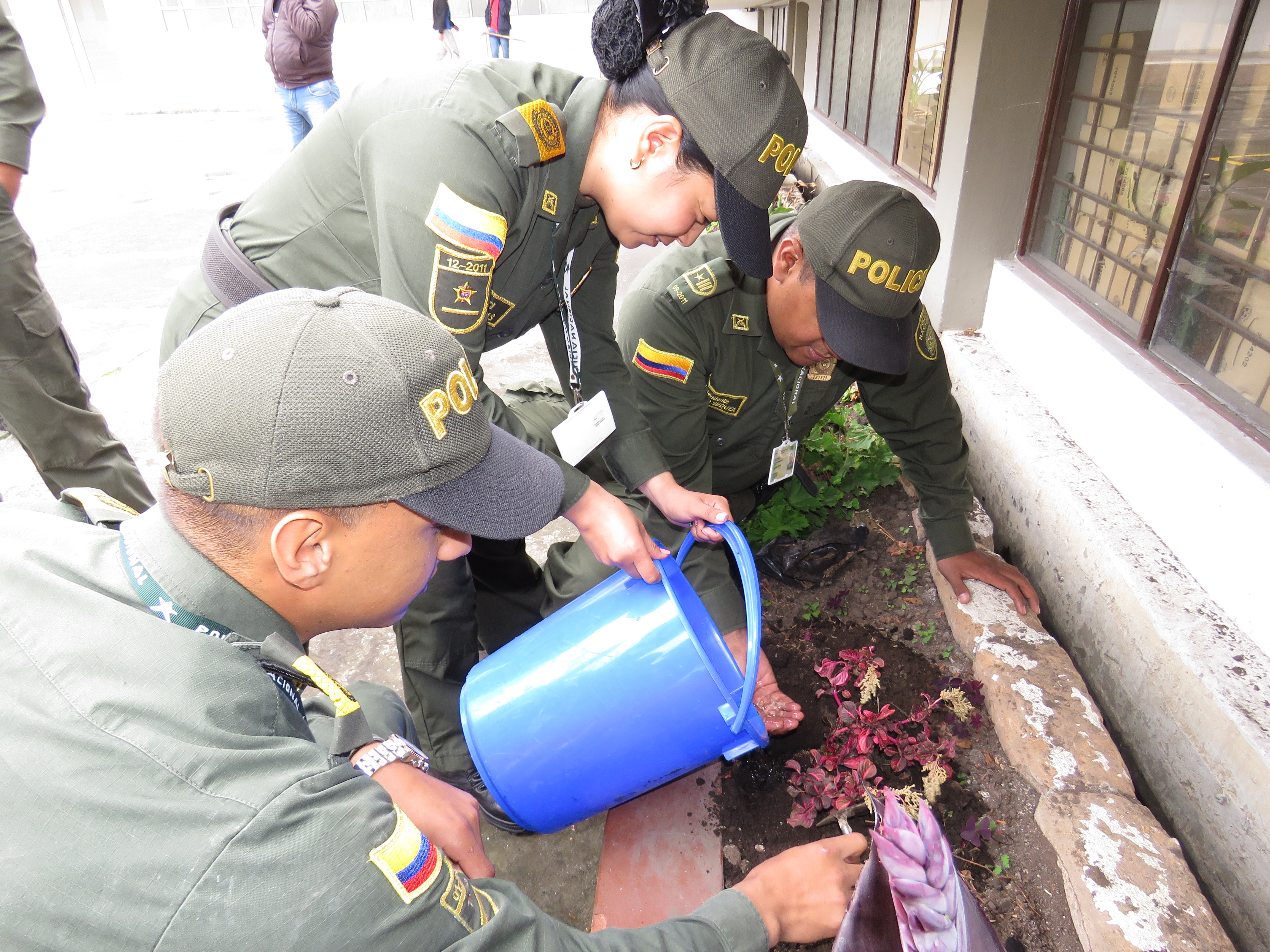 Siembra de arbolitos