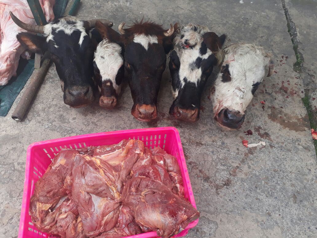 Incautacion de carne en Chiquinquira