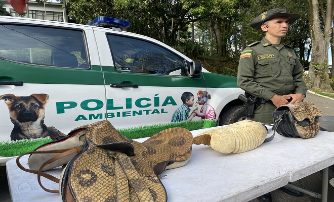 Incautación de articulos hechos con piel animal