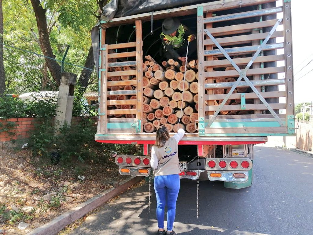 Incautacion de madera3