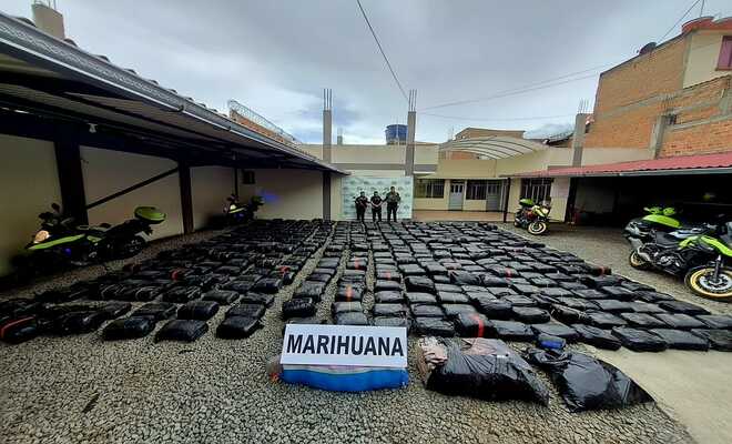 Contundente golpe al narcotráfico en Nariño: más de dos toneladas de marihuana incautadas