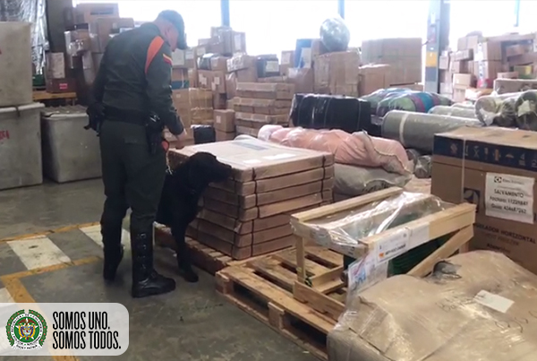 incautacion de marihuana