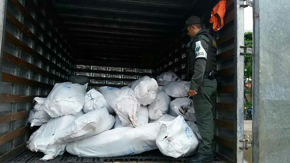 El alimento era transportado en un vehículo 