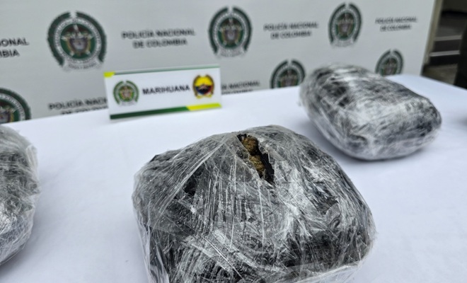 La marihuana fue enviada mediante modalidad de encomienda 